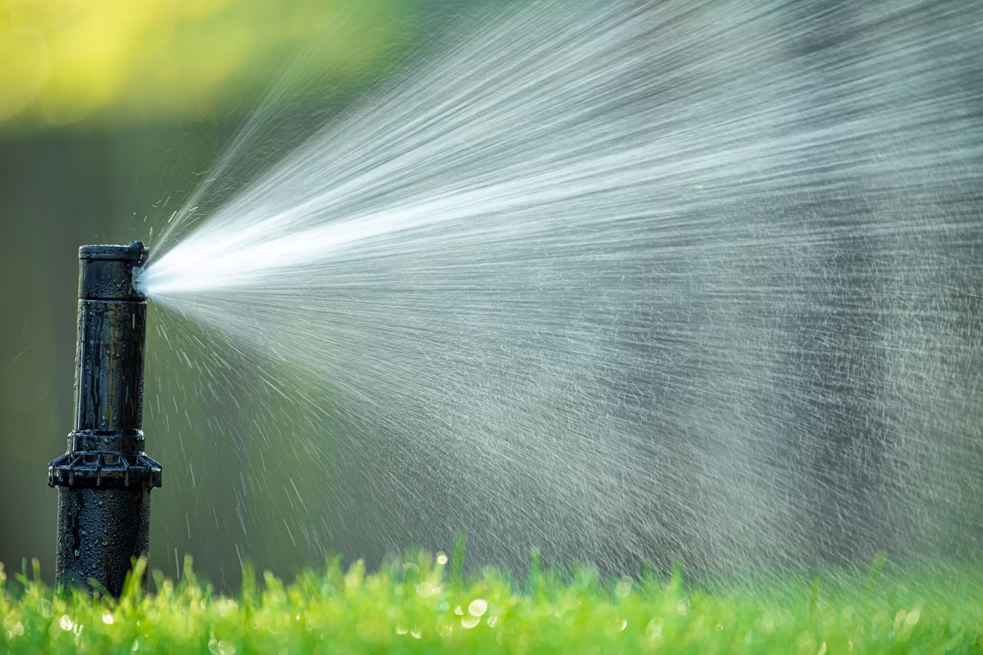 Blog post Advanced Irrigation Solutions for a Greener Lawn with DQ Lawn and Snow image